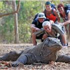 Travel group "Juressicpark" living in Komodo National Park