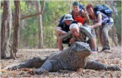 Travel group "Juressicpark" living in Komodo National Park