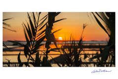 Travel notes - Sicily, Marsala 2025