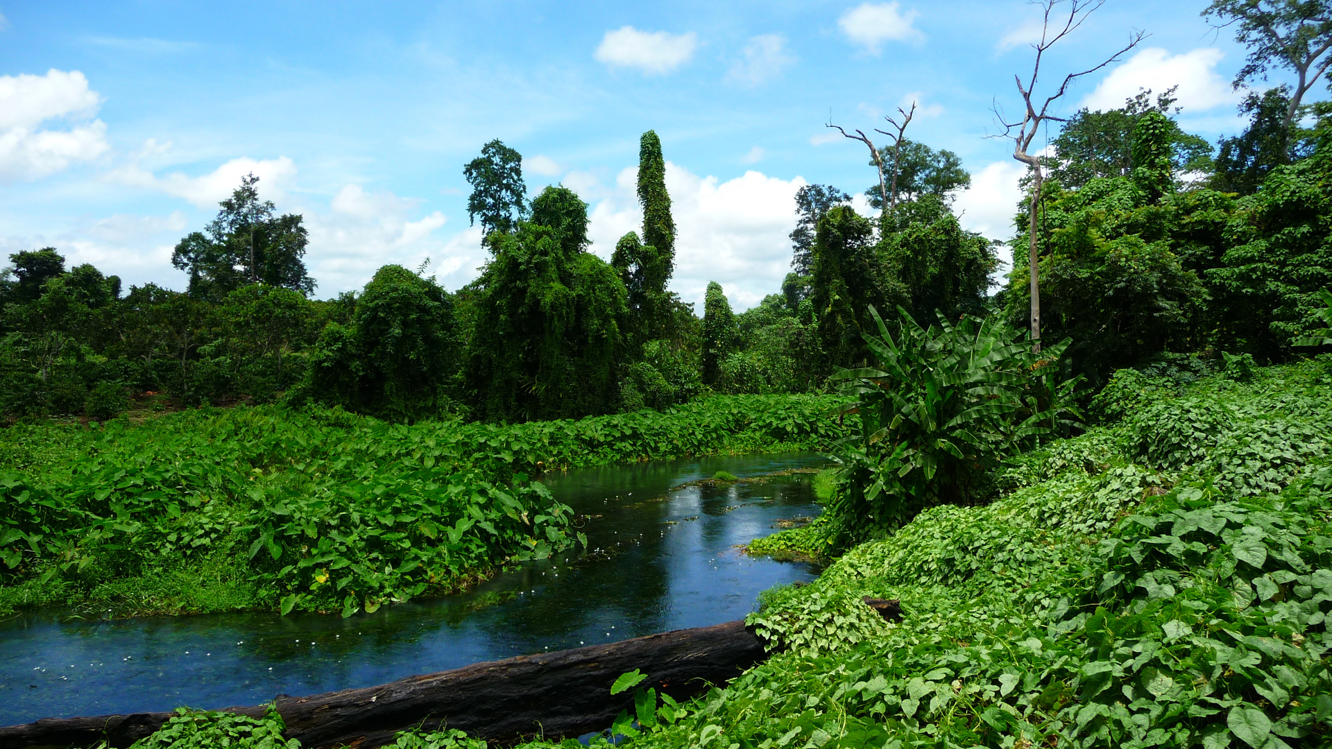 Travel through Vietnam - Central Highlands 2