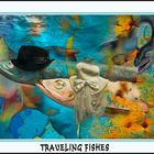 Traveling Fishes