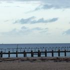 Travemünde 1.11. und die Vögel übernehmen die Brücke.