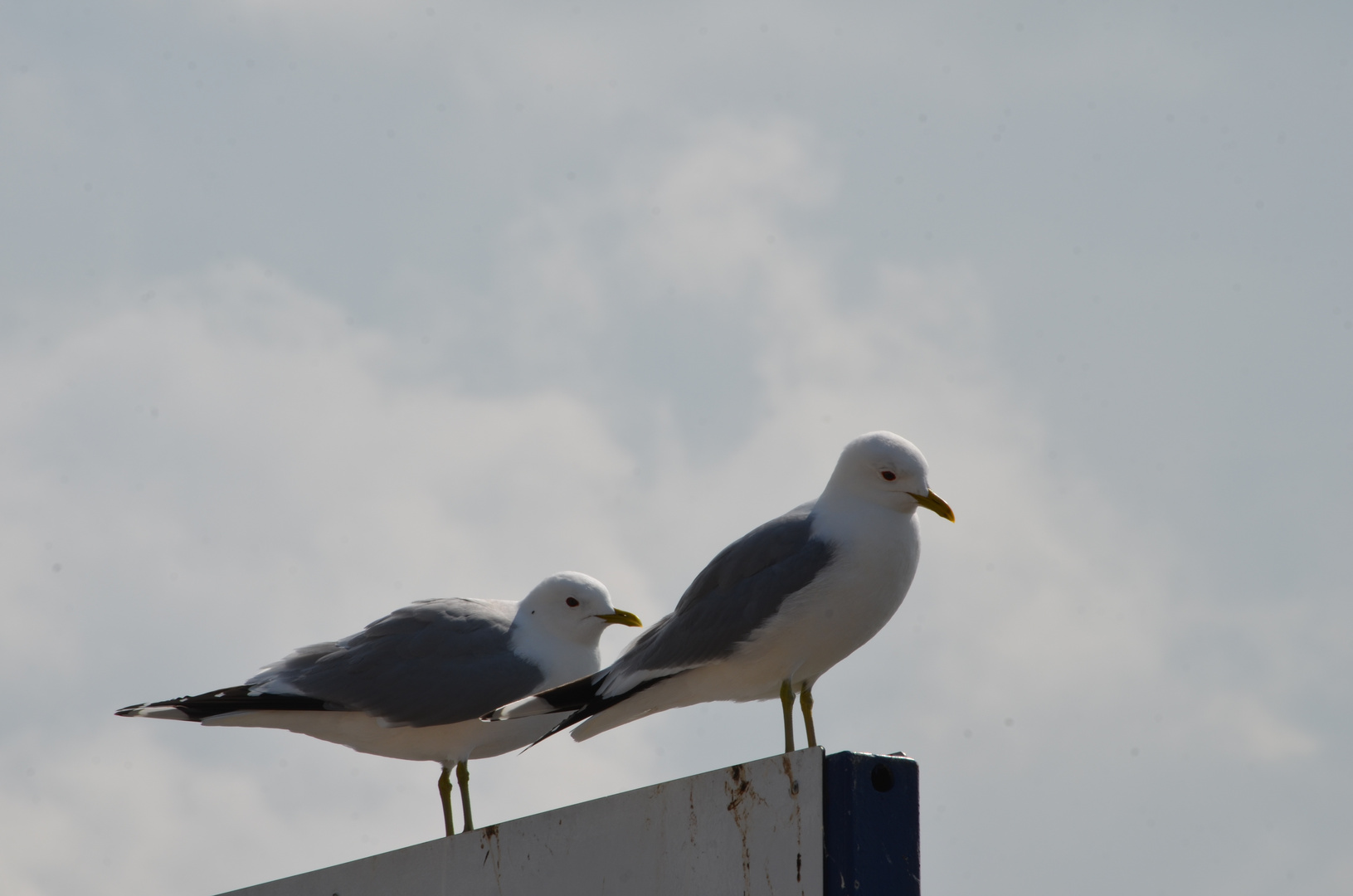 Travemünde 14.05.2017