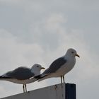 Travemünde 14.05.2017