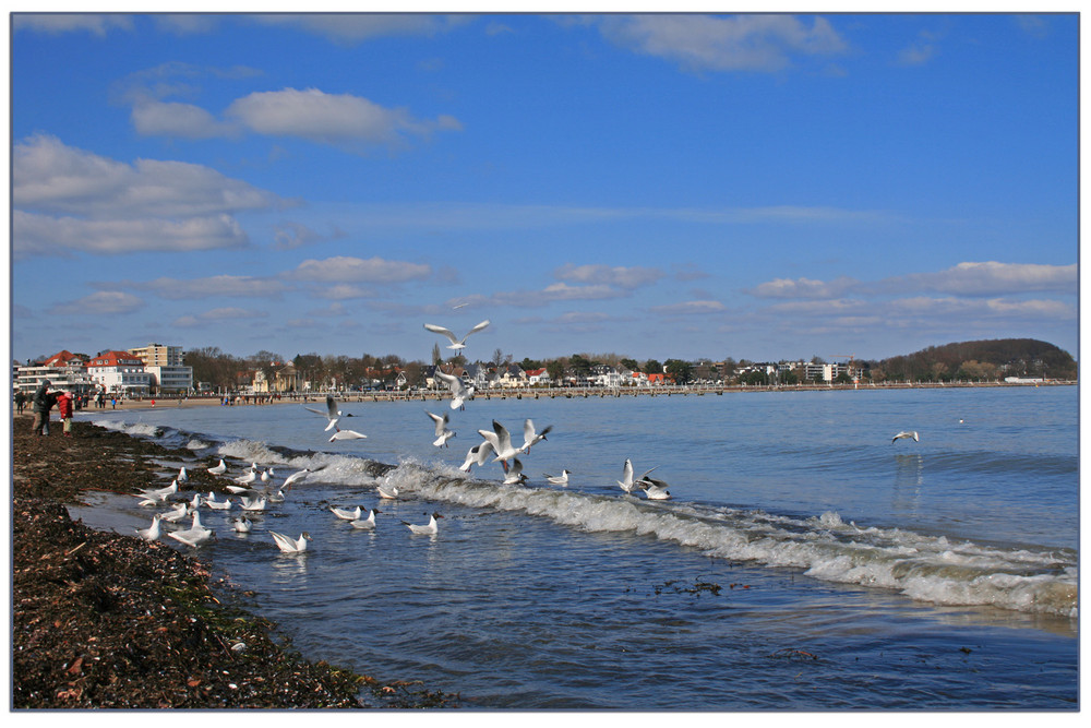 Travemünde - Hier ist was los!