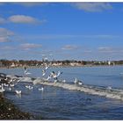 Travemünde - Hier ist was los!