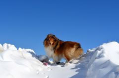 Travemünde im Schnee