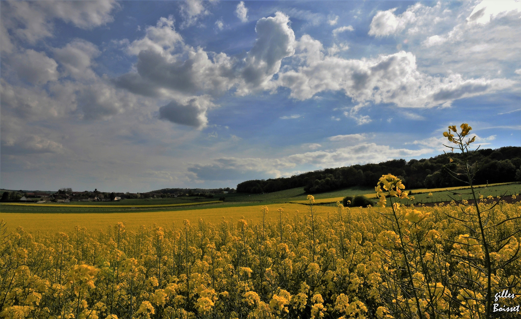 À travers champs dans le Vexin normand