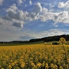 À travers champs dans le Vexin normand