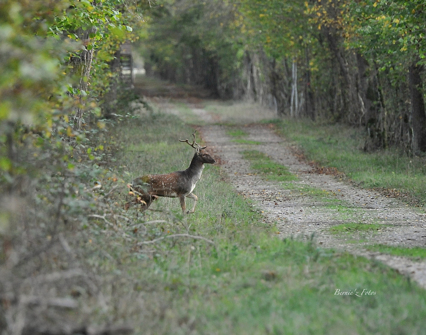 Traversée à hauts risques