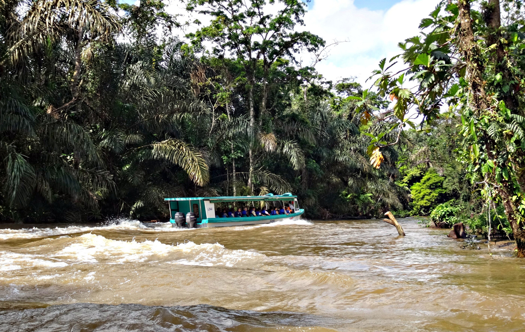 Traversée de la Jungle en bateau