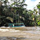 Traversée de la Jungle en bateau