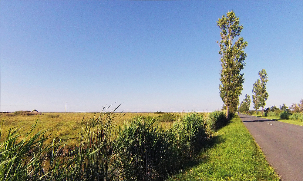 Traversée du marais entre St Just Luzac et St Jean d’Angle