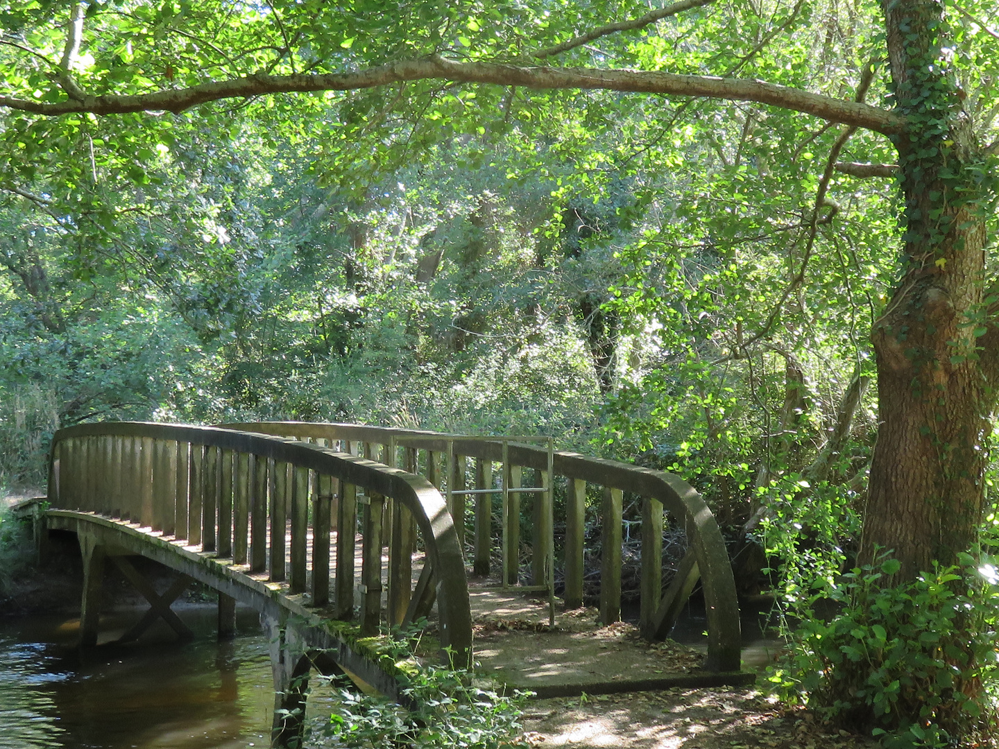 traverser le pont !!