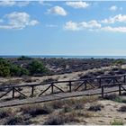 Traverser les dunes  de Torre del lago ..