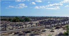 Traverser les dunes  de Torre del lago ..