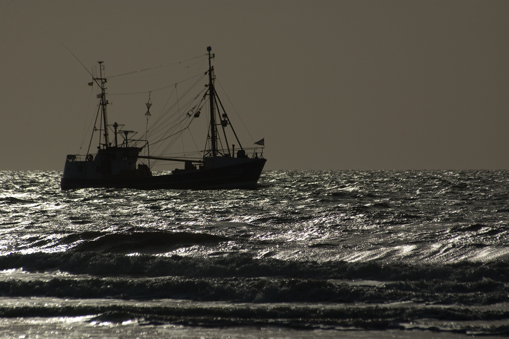 Trawler