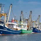 Trawlerflotte