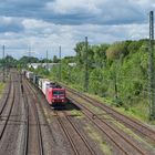 Traxx mit Containerzug in Eller