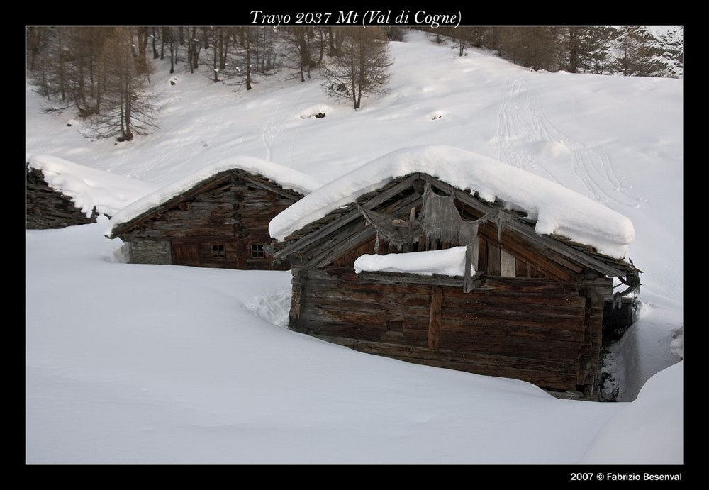 Trayo 2037 Mt. (Val di Cogne)