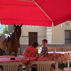 Tre amici, uno molto particolare, al bar, due birre e per Fred un secchio d'acqua, grazie