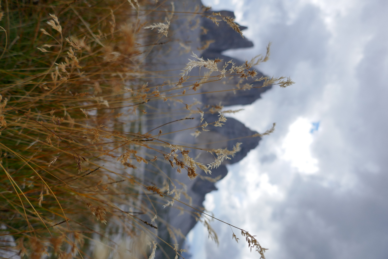 Tre Cime di Lavaredo I