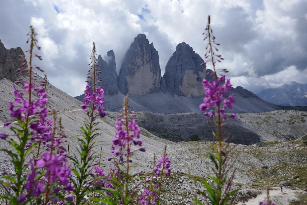 Tre Cime di Lavaredo II