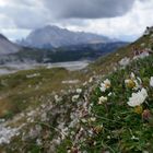 Tre Cime di Lavaredo IV