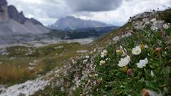 Tre Cime di Lavaredo IV