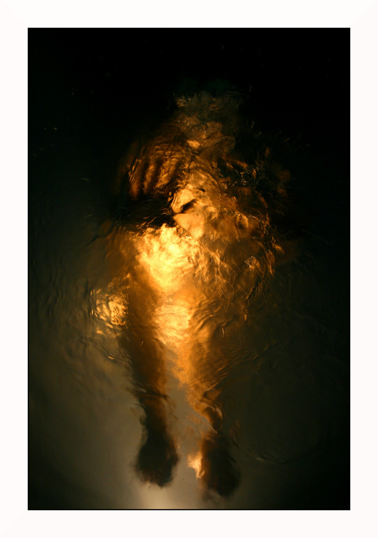 Etre De Lumiere Photo Et Image Experimental Special Images Fotocommunity