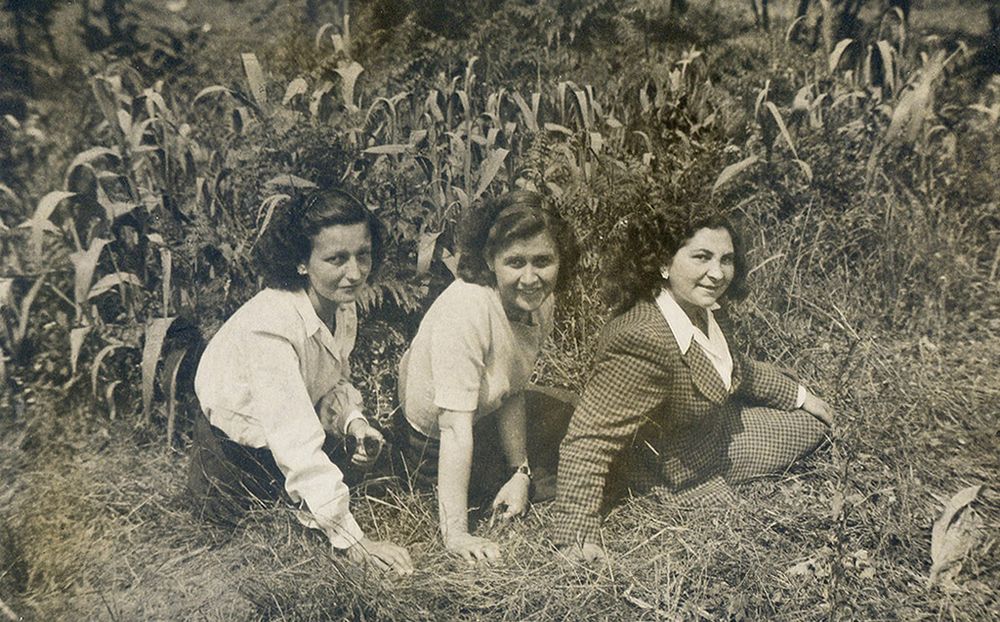 tre ragazze Foto Immagini persone Foto su