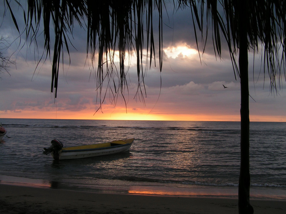 Treasure Beach