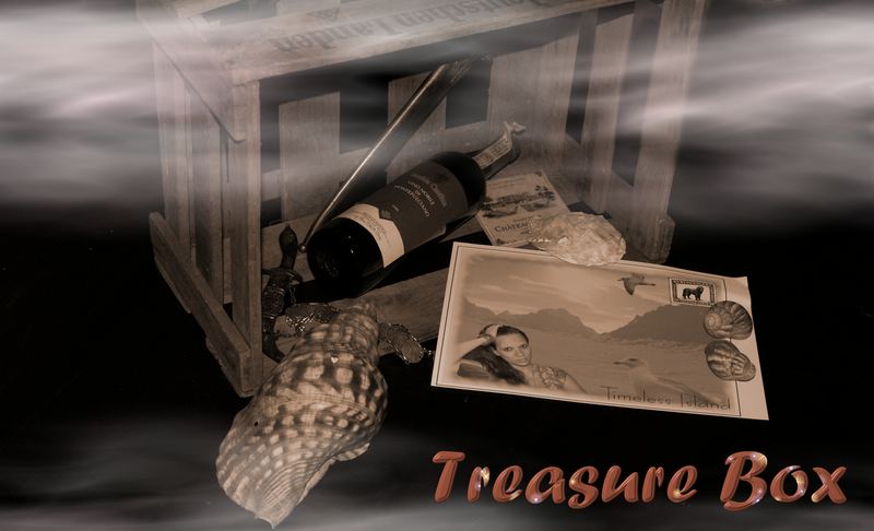 Treasure Box