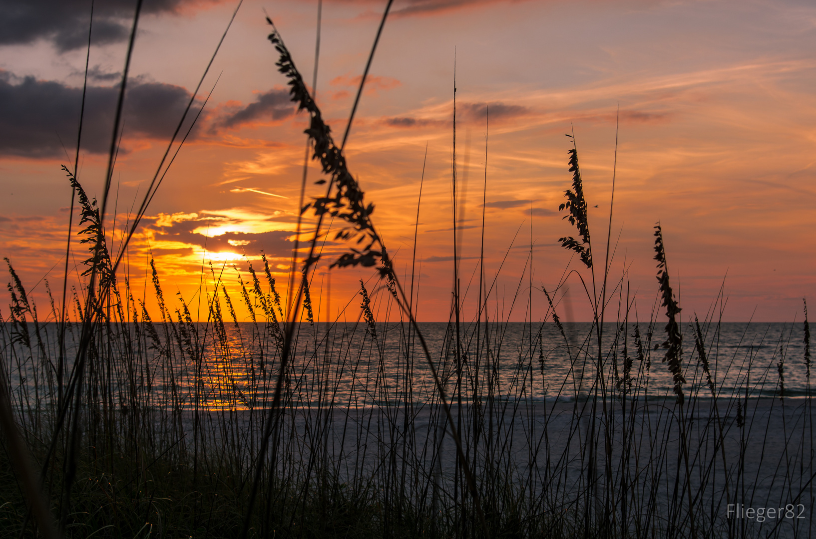 Treasure Island Sunset