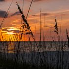 Treasure Island Sunset