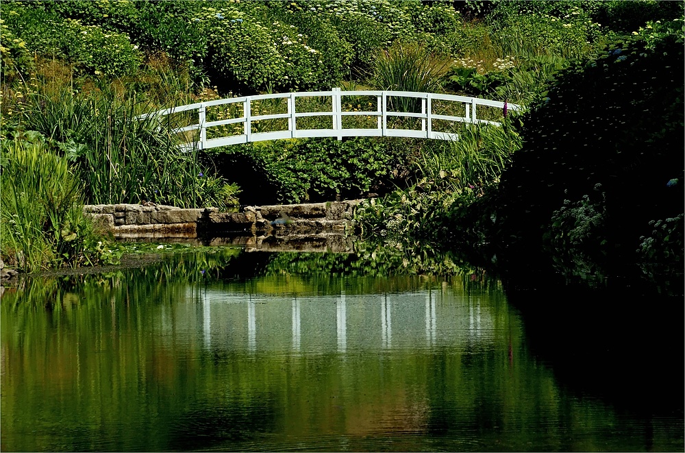 Trebah Garden