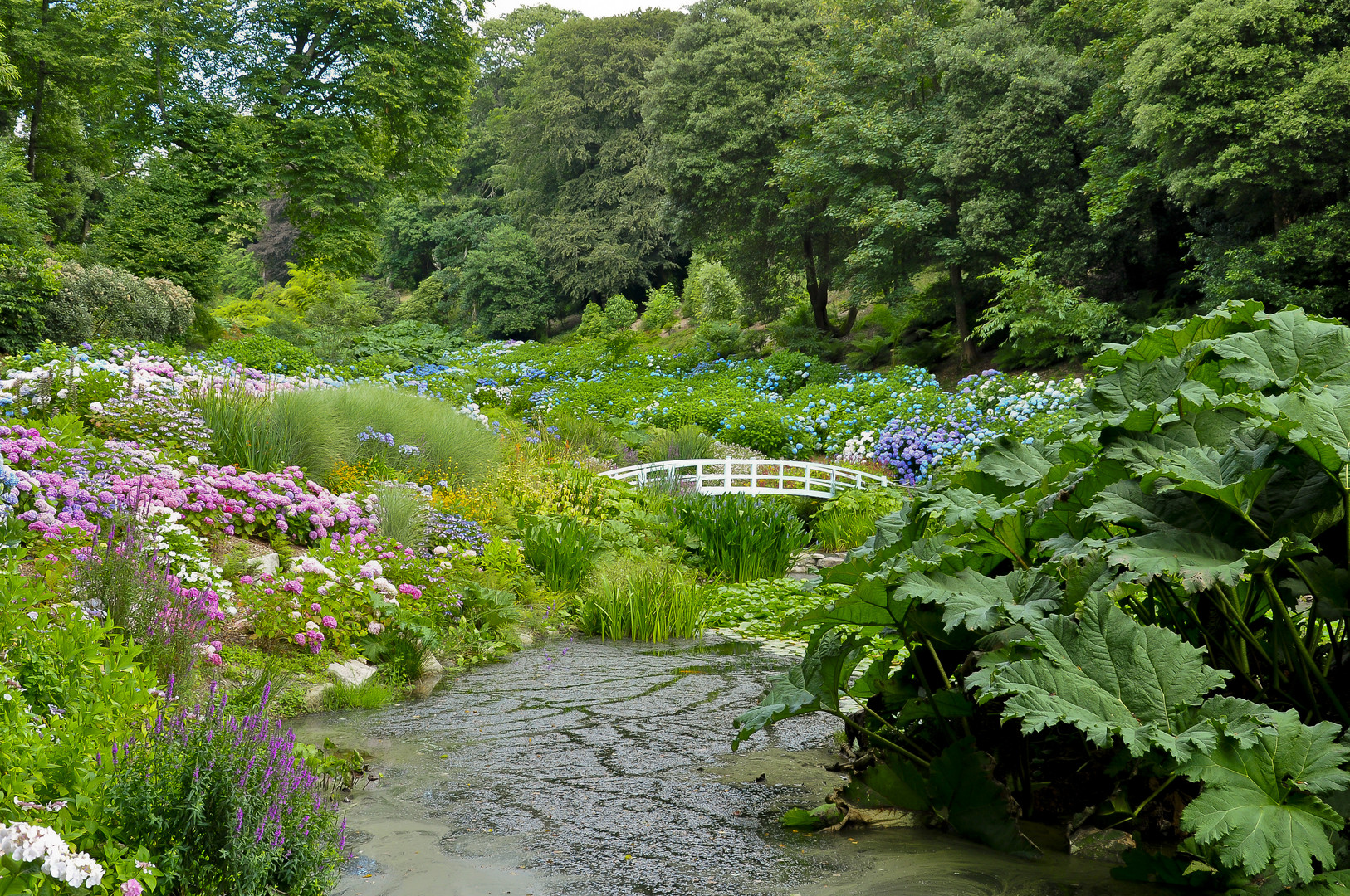 Trebah Garden