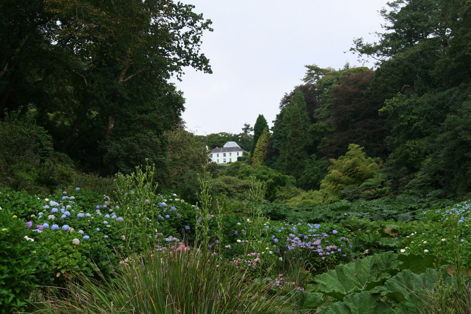 Trebah Garden, Cornwall - 2013 (6)