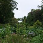 Trebah Garden, Cornwall - 2013 (6)