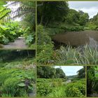 Trebah Garden Diverse