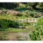 Trebah Garden in Cornwall