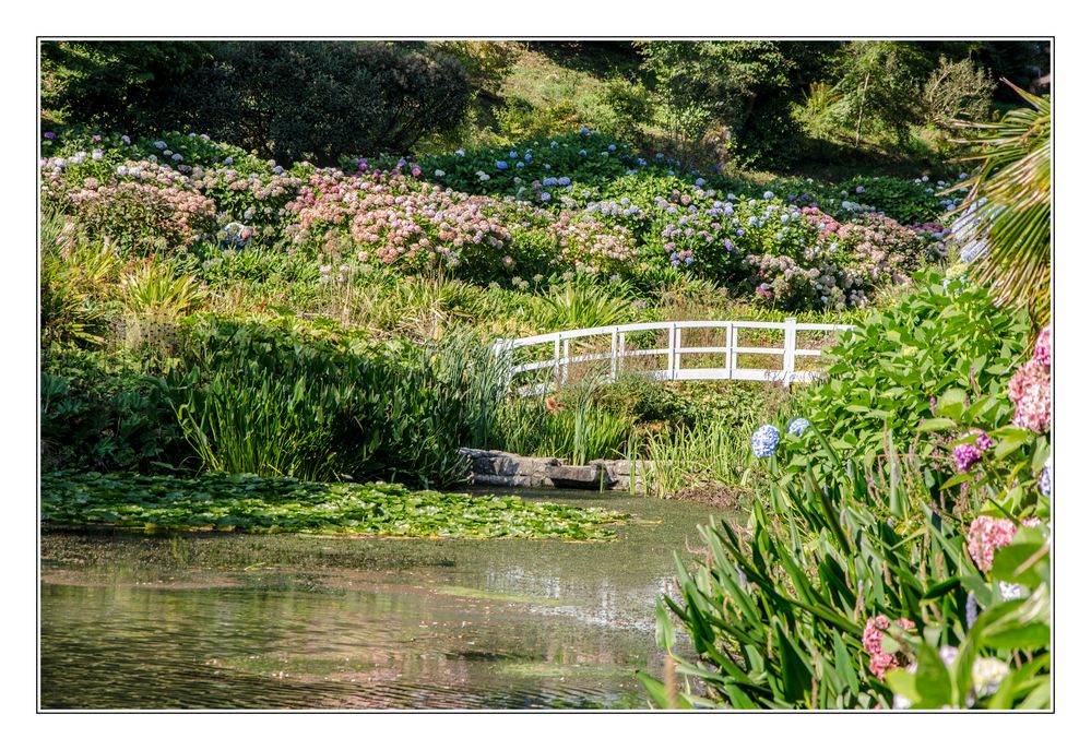 Trebah Garden in Cornwall