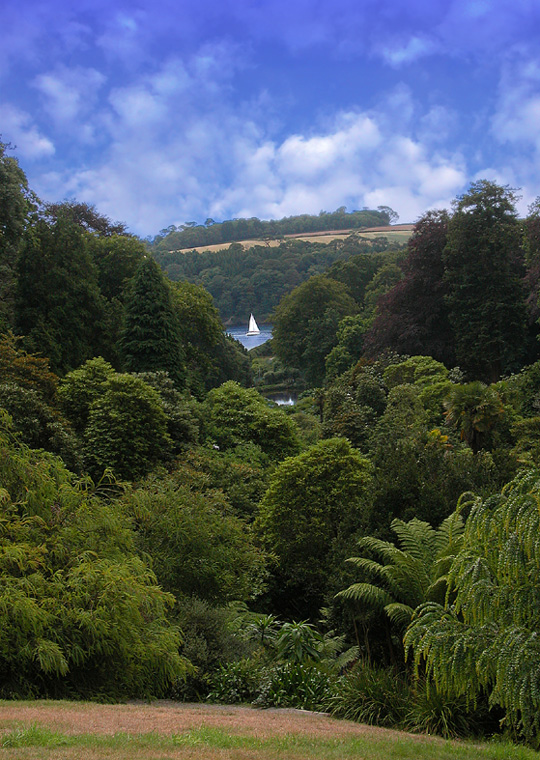 Trebah Garden in Cornwall