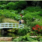 Trebah Gardens in Südengland / Cornwall