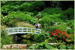Trebah Gardens in Südengland / Cornwall