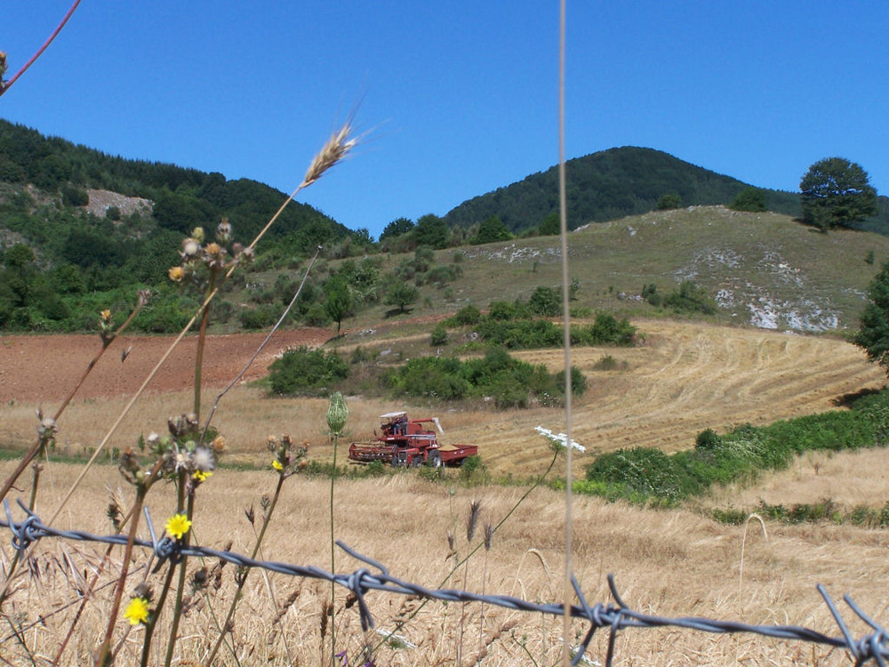 TREBBIA