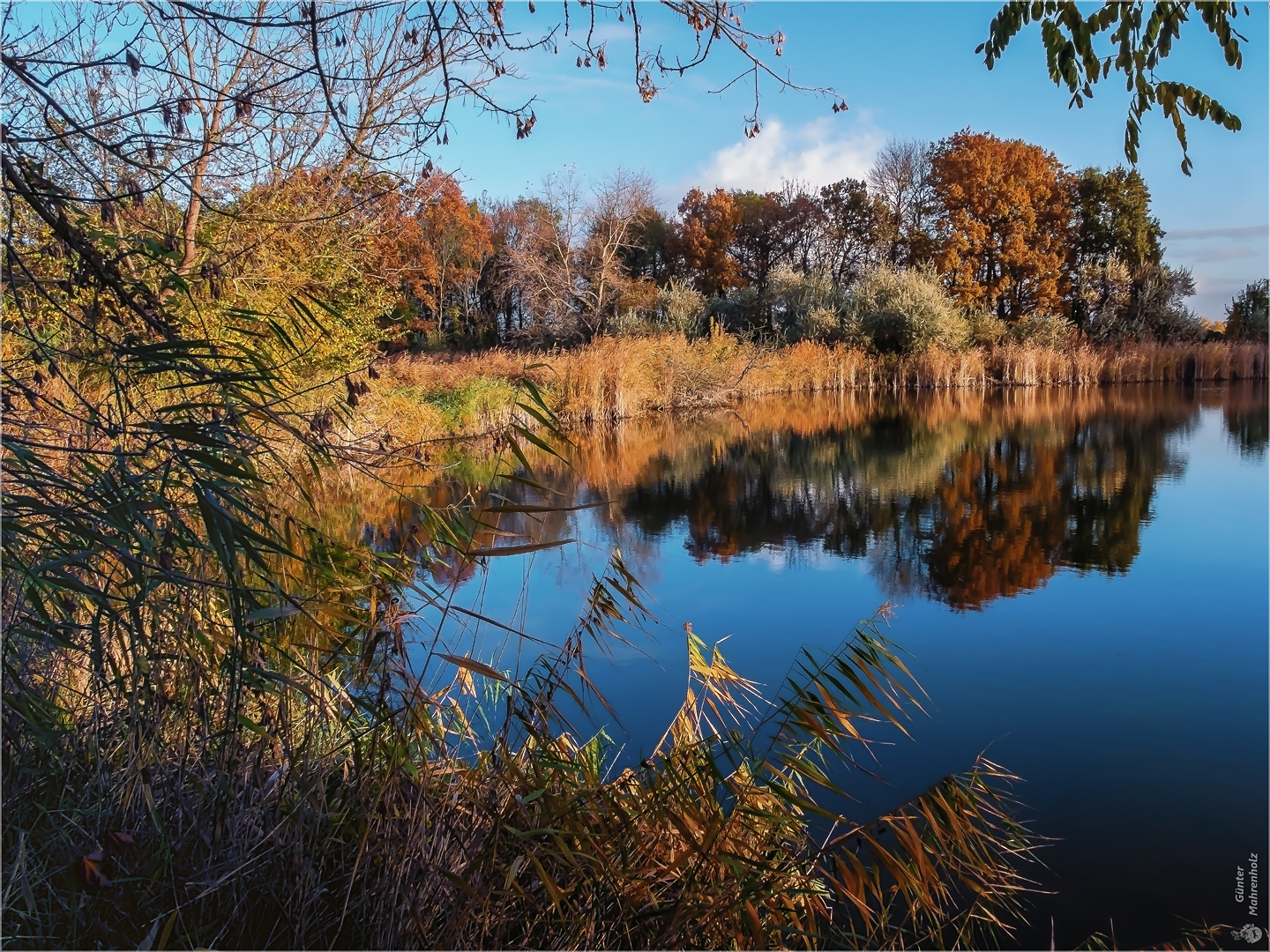 Trebbichau, Am Großen Parksee