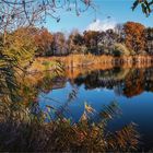 Trebbichau, Am Großen Parksee