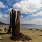 Trébeurden - plage de pors mabo