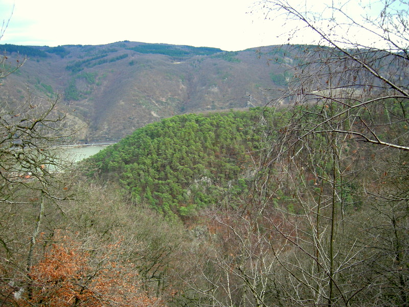 Trechtingshausen / Morgenbachtal,2008